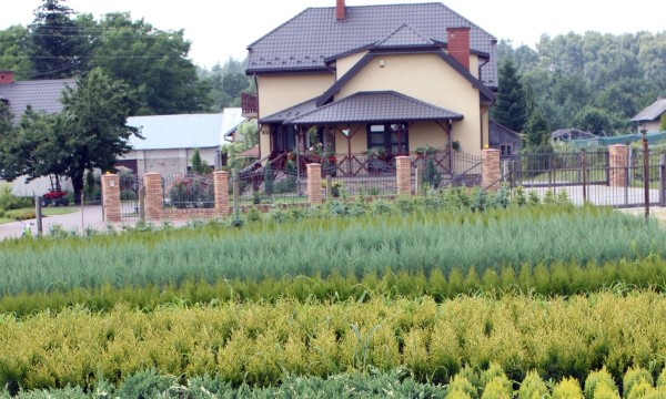 Czarneccy6
